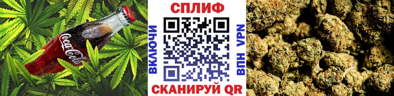 закладки  Новодвинск  Еда ТГК конопля 