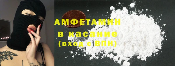 прущие грибы Баксан