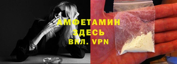 прущие грибы Баксан