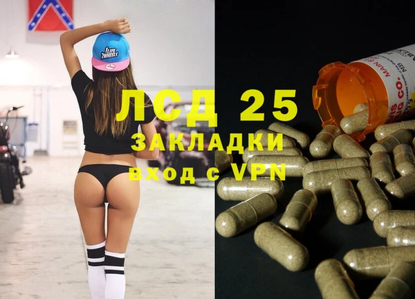 прущие грибы Баксан
