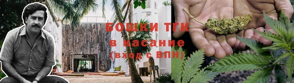 прущие грибы Баксан