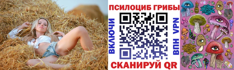 хочу Новодвинск мега как зайти Псилоцибиновые грибы ЛСД